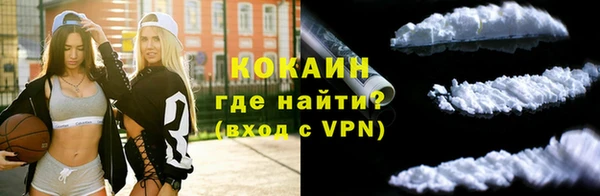 молекула духа Семилуки