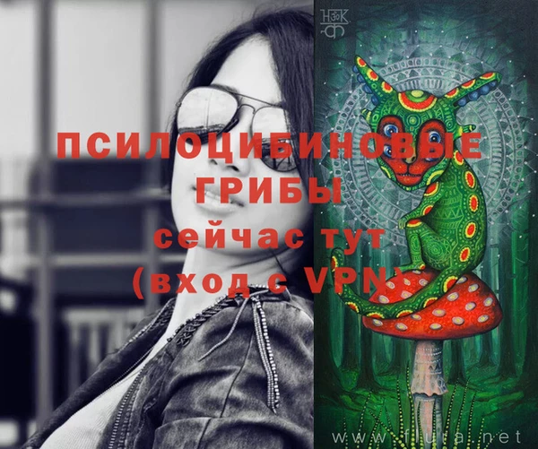 молекула духа Семилуки